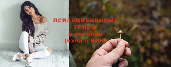 герыч Богородицк