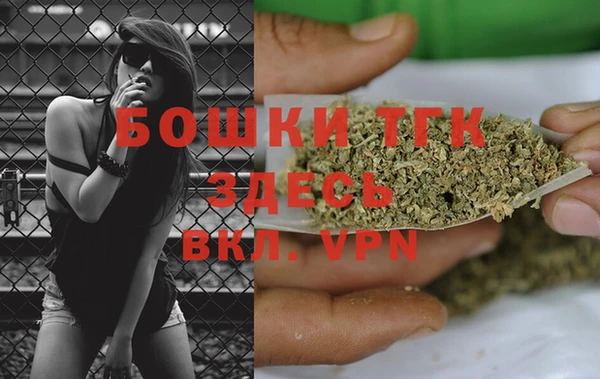 spice Богданович