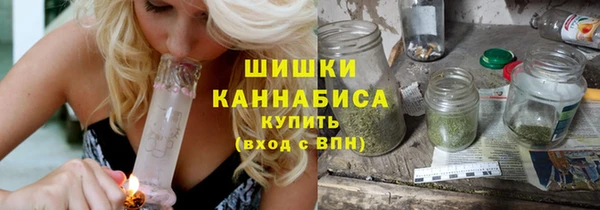 spice Богданович